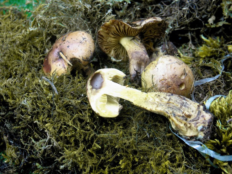 Cronaca di un sabato disgraziato